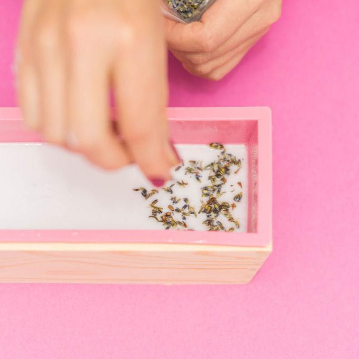 Layered Soap Making Kit - Ed's Plant Shop