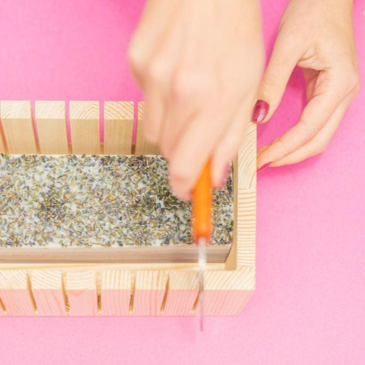 Layered Soap Making Kit - Ed's Plant Shop