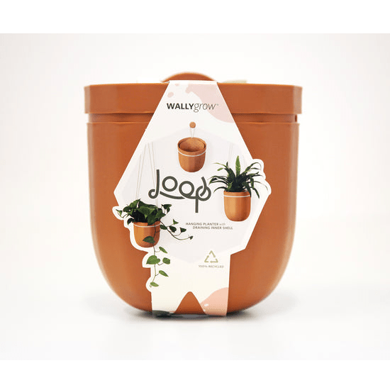 leak-free hanging basket - Ed's Plant Shop