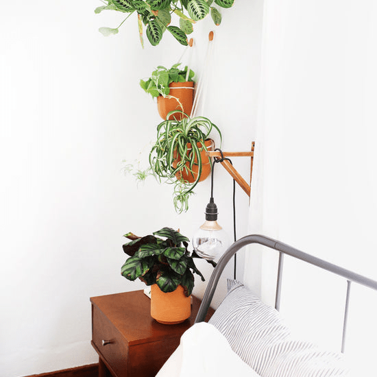 Leak-Free Hanging Baskets For houseplants - Terra Cotta Color