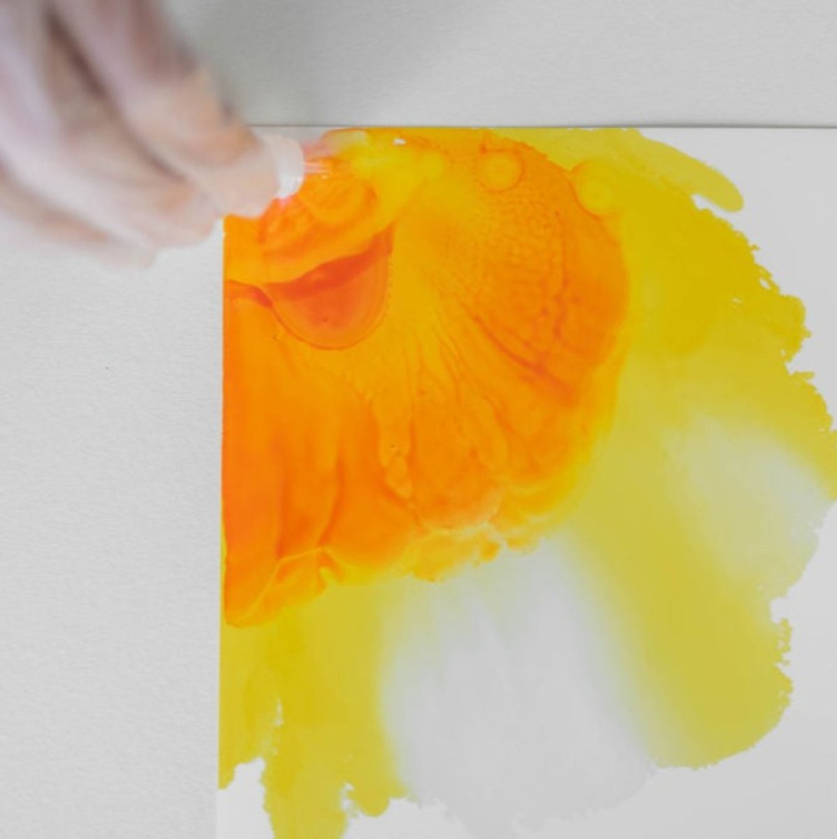 LED Light Frame Alcohol Ink Kit - Ed's Plant Shop