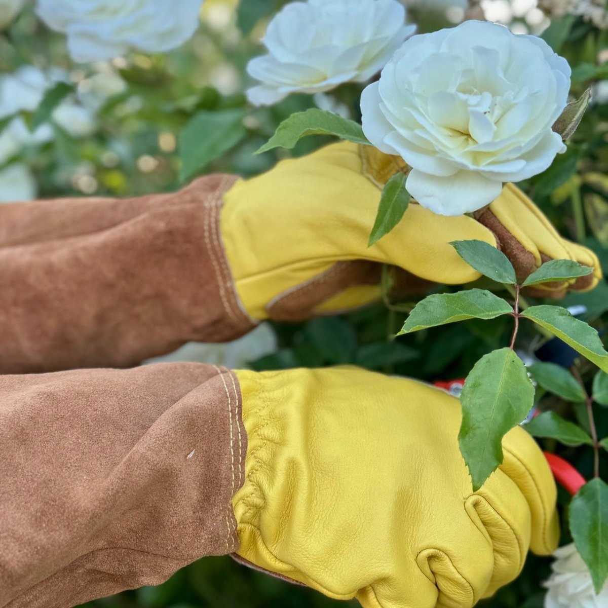 Long Garden Gloves – Rose & Thorn Pruning Gloves (Soft Cowhide) - Ed's Plant Shop
