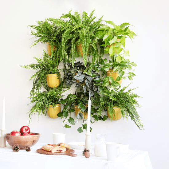Loop Hanging Planter - No Leak Hanging Basket For Houseplants (Mustard)