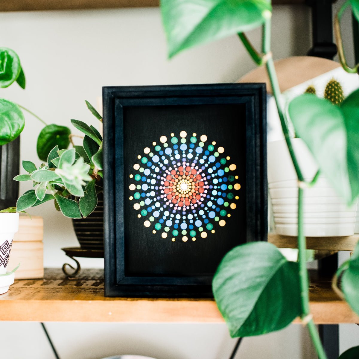 Mandala Dotting Kit - Ed's Plant Shop
