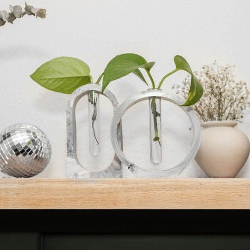 Marbled Vases Kit - Ed's Plant Shop