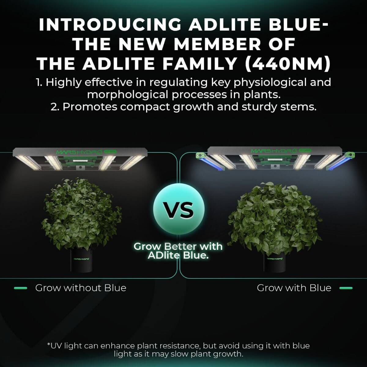 Advertisement for Adlite Blue LED grow light with plants on a black background