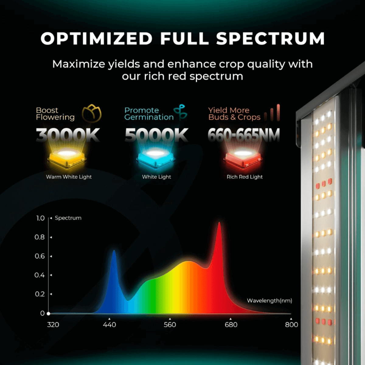Mars Hydro FC4000 - EVO 320W Smart LED Grow Light | Samsung LM301H Chips - Ed's Plant Shop