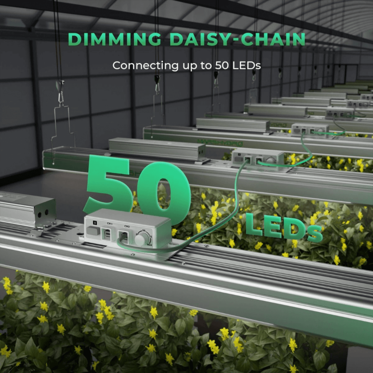 Mars Hydro SP 3000 300W Samsung LM301B LED Grow Light - Ed's Plant Shop