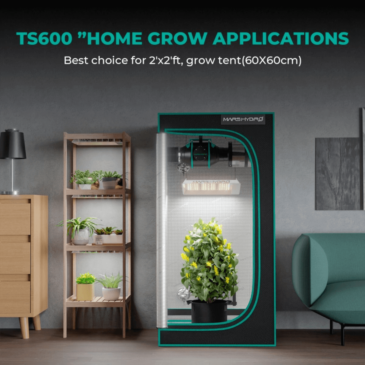 Mars Hydro TS 600 100W Full Spectrum LED Grow Light - Ed's Plant Shop