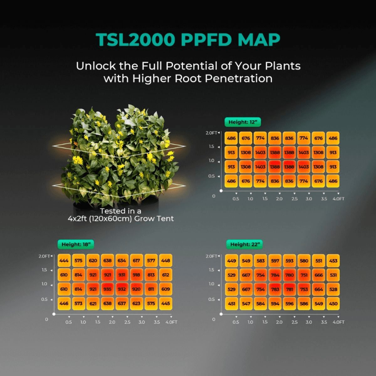 Mars Hydro TSL 2000 300W Dimmable Full Spectrum LED Grow Light | High - Efficiency Lighting - Ed's Plant Shop