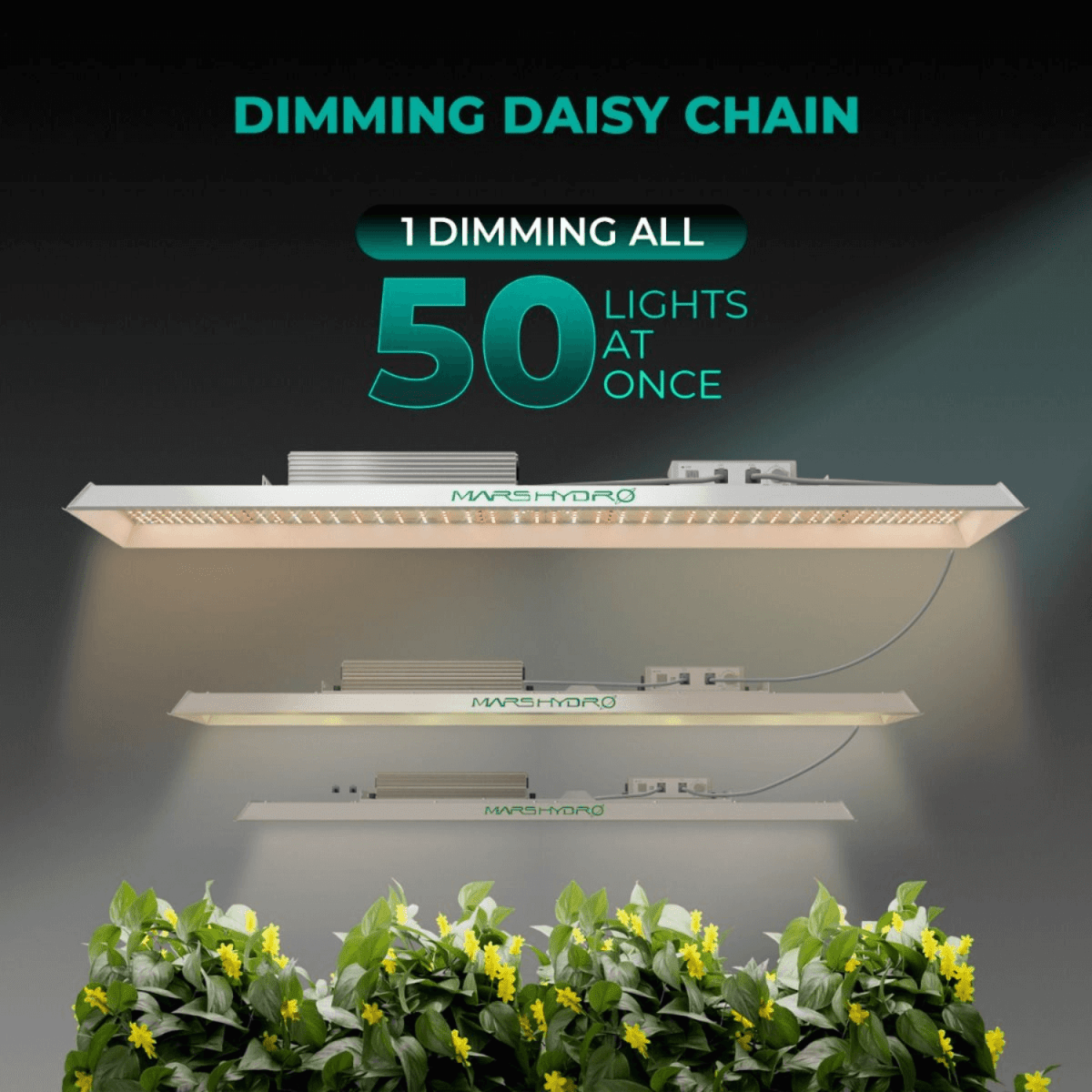 Mars Hydro TSL 2000 300W Dimmable Full Spectrum LED Grow Light | High - Efficiency Lighting - Ed's Plant Shop