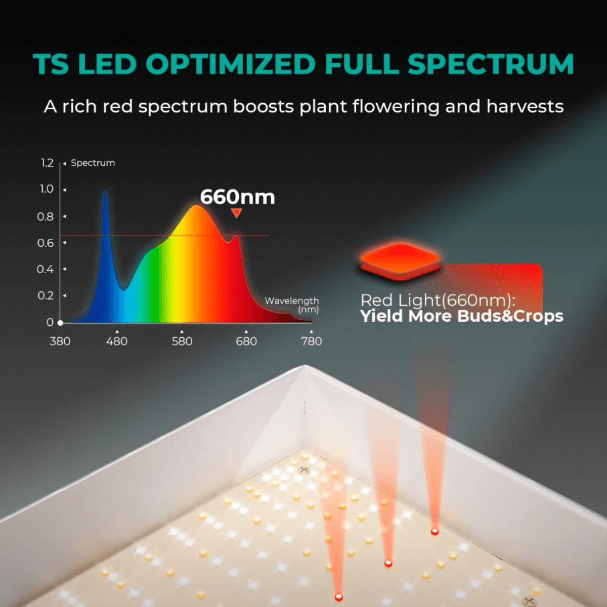 Mars Hydro TSL 2000 300W Dimmable Full Spectrum LED Grow Light | High - Efficiency Lighting - Ed's Plant Shop