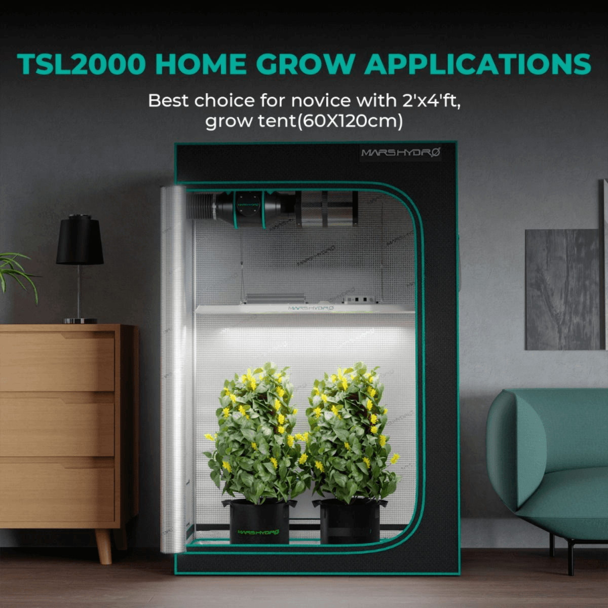 Mars Hydro TSL 2000 300W Dimmable Full Spectrum LED Grow Light | High - Efficiency Lighting - Ed's Plant Shop