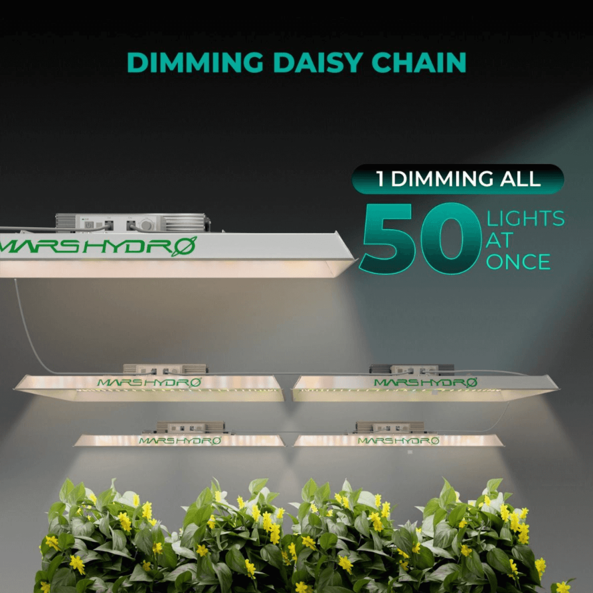 Mars Hydro TSW 2000 300W Dimmable Full Spectrum LED Grow Light - Ed's Plant Shop