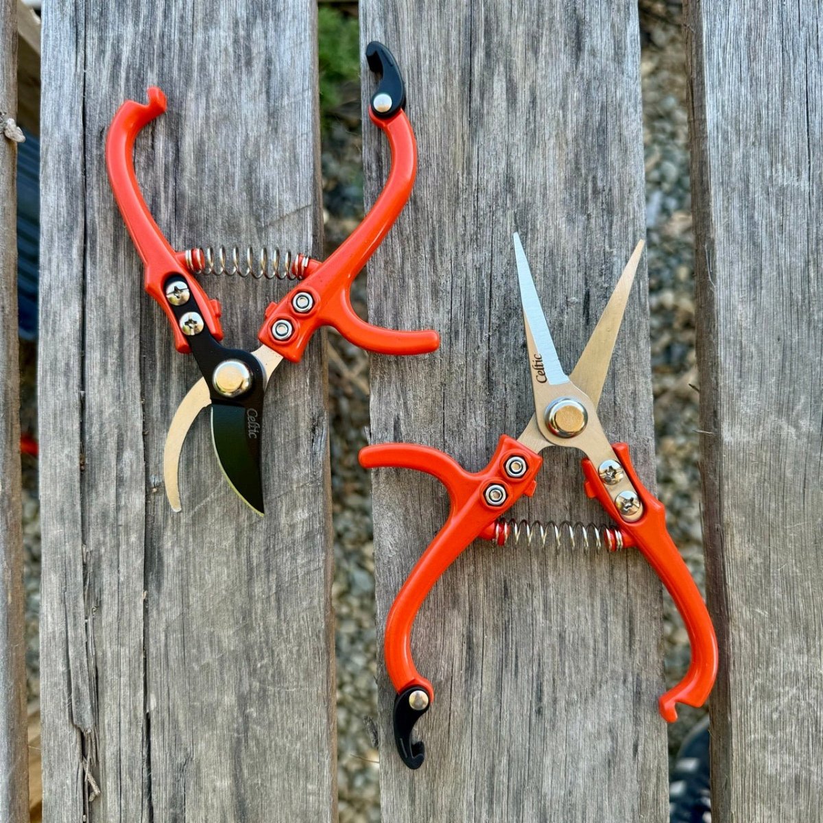 Mini Hand Pruner Gift Set - Ergonomic Pruners - Ed's Plant Shop