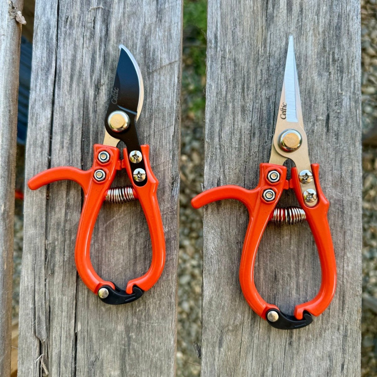Mini Hand Pruner Gift Set - Ergonomic Pruners - Ed's Plant Shop