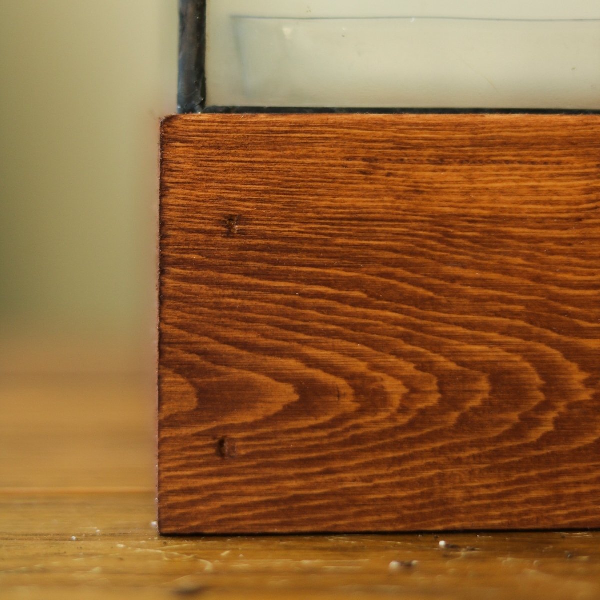 North Tower Terrarium - Ed's Plant Shop