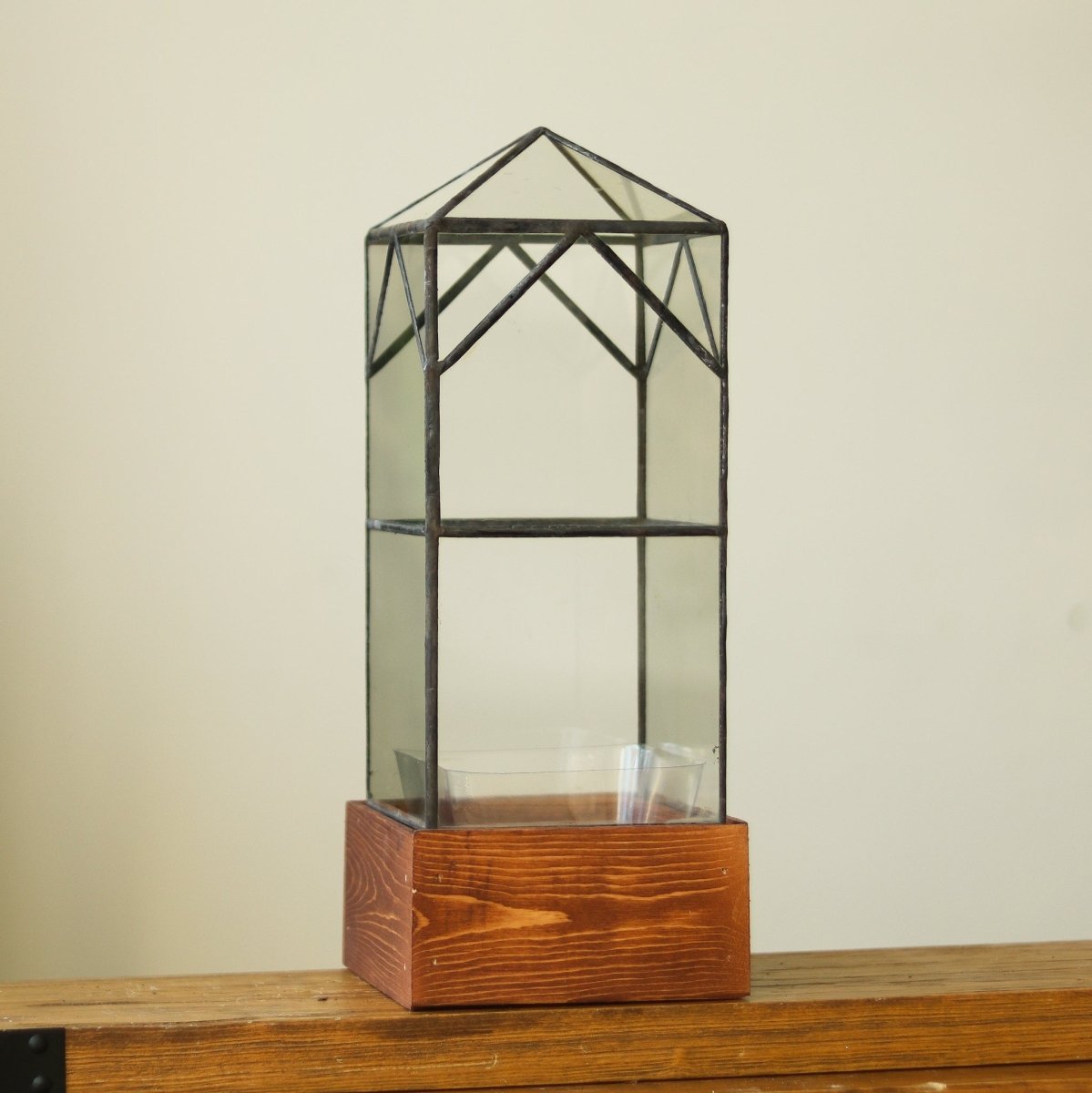 North Tower Terrarium - Ed's Plant Shop