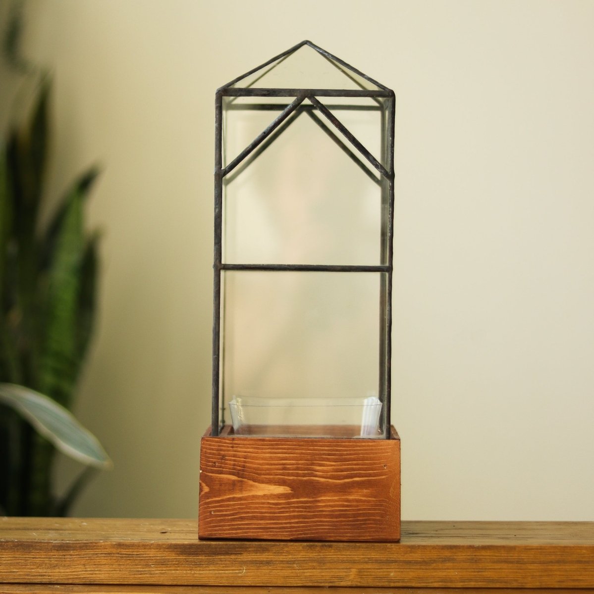 North Tower Terrarium - Ed's Plant Shop