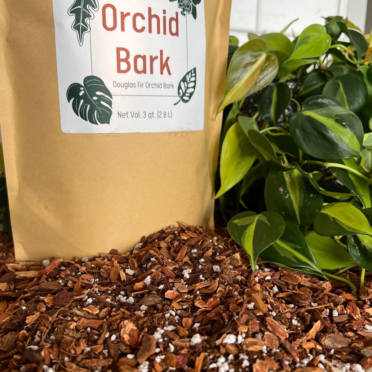 Orchid Bark - Ed's Plant Shop