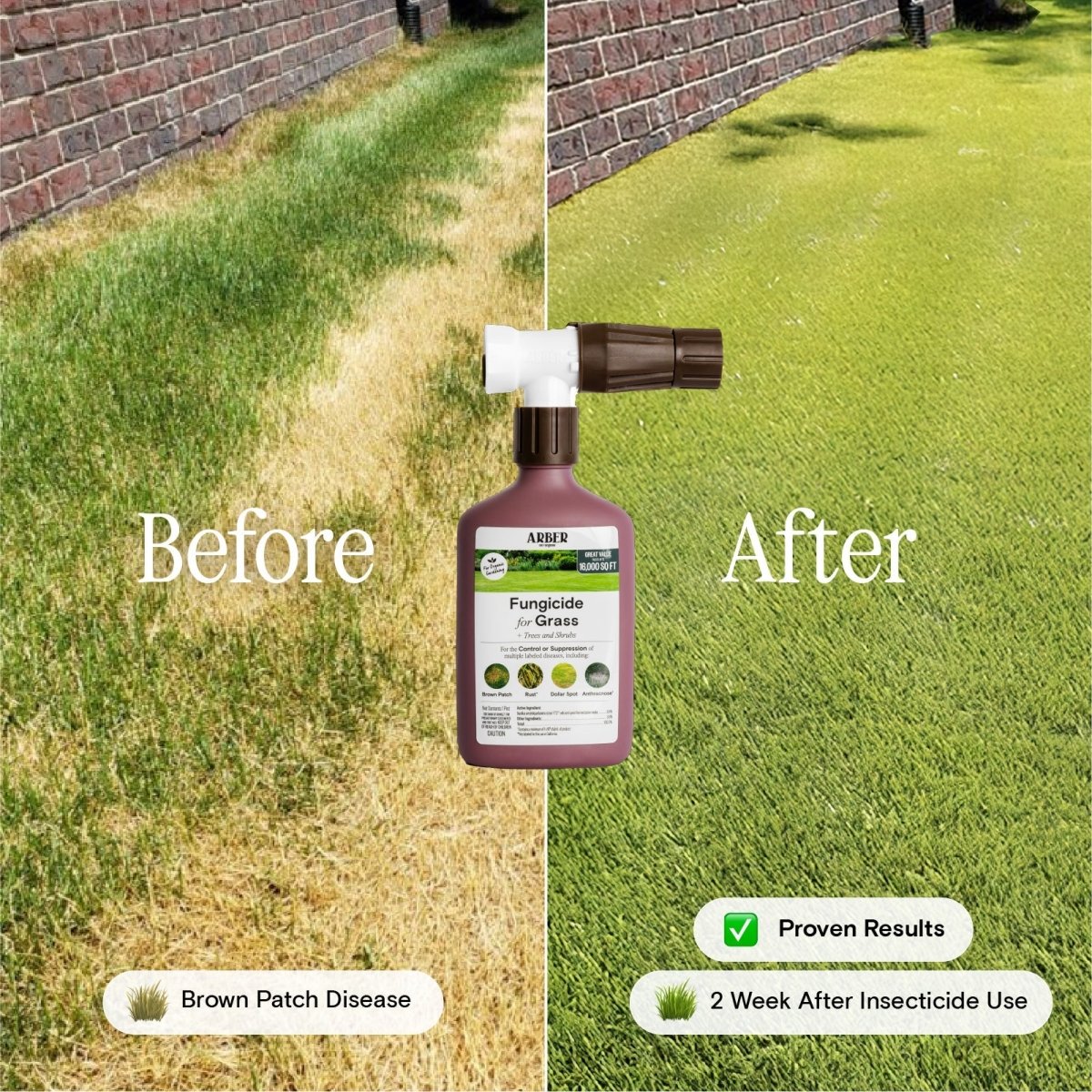 Organic Fungicide for Grass, Trees & Shrubs - Ed's Plant Shop