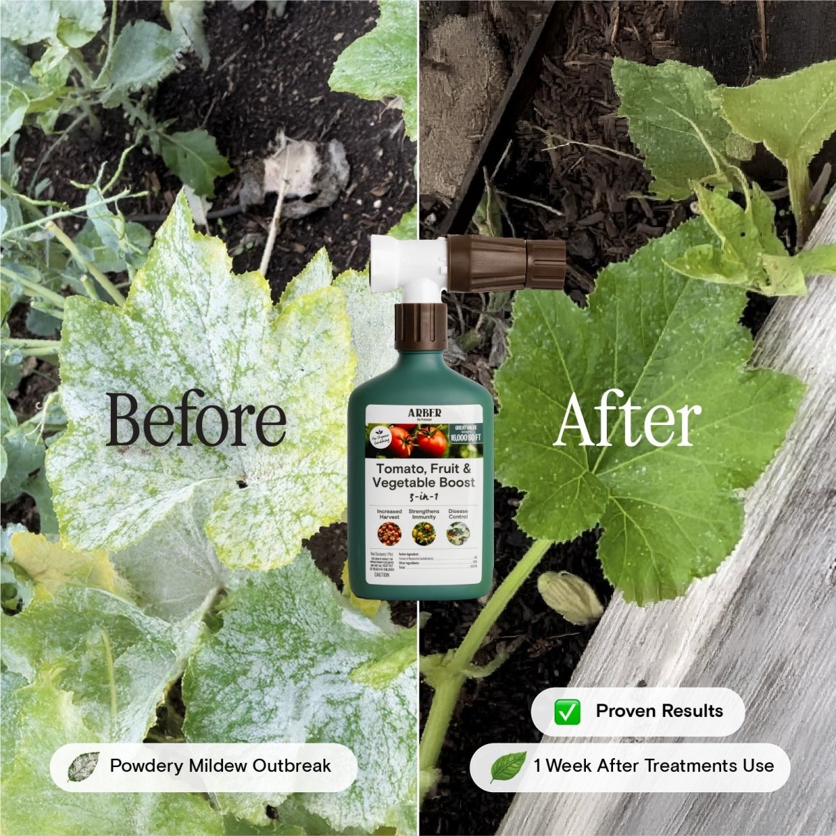Organic Tomato, Fruit & Vegetable Boost - Ed's Plant Shop