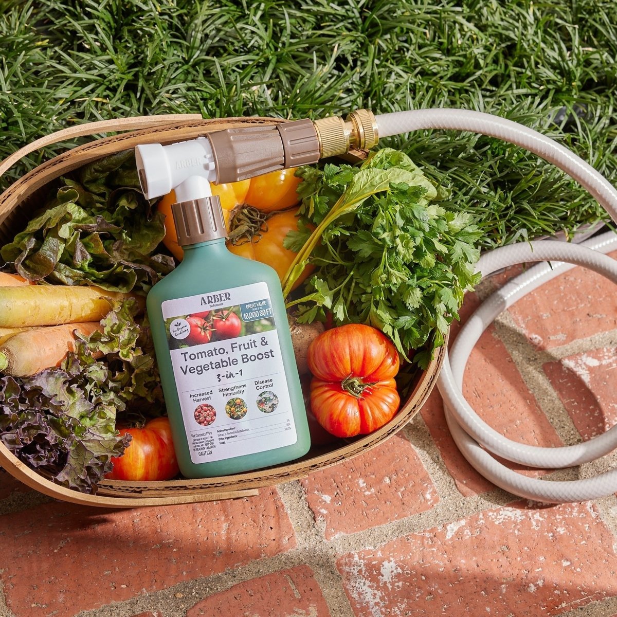 Organic Tomato, Fruit & Vegetable Boost - Ed's Plant Shop