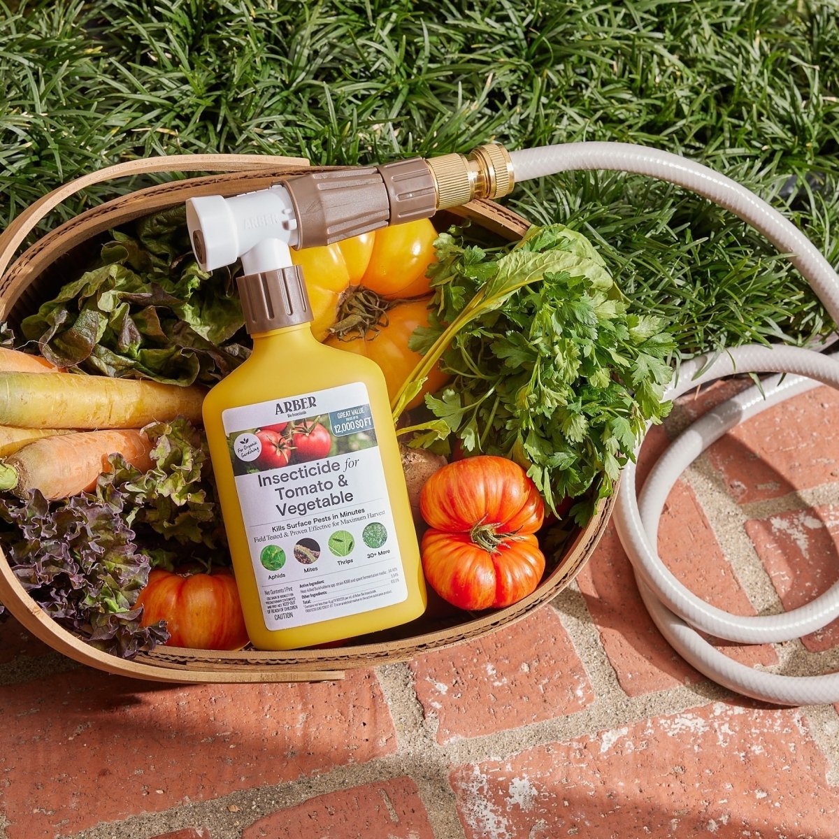 Organic Tomato & Vegetable Insecticide — Ready - to - Spray Concentrate - Ed's Plant Shop