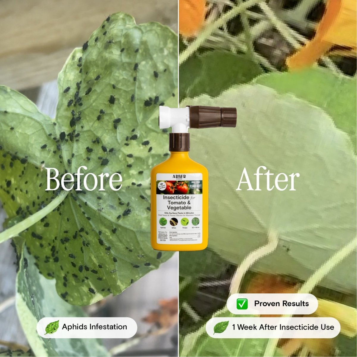 Organic Tomato & Vegetable Insecticide — Ready - to - Spray Concentrate - Ed's Plant Shop