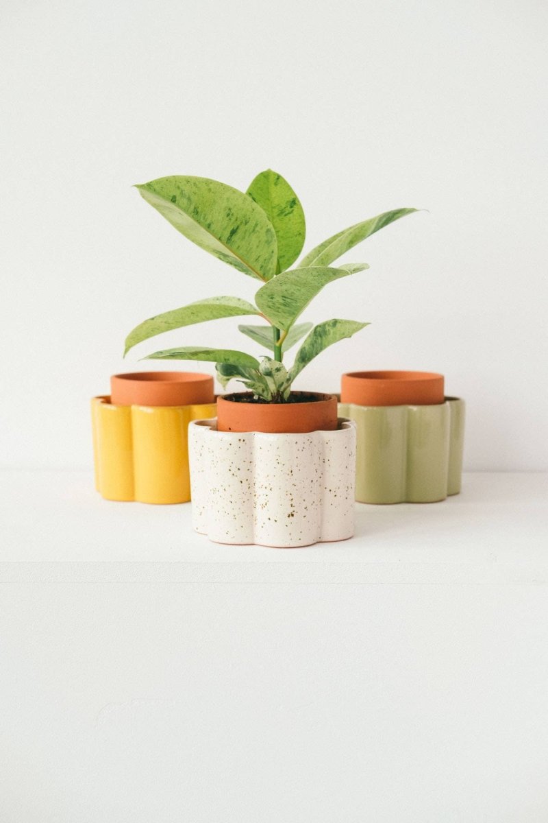 Paula Self - Watering Planter Pot – Speckled White - Ed's Plant Shop