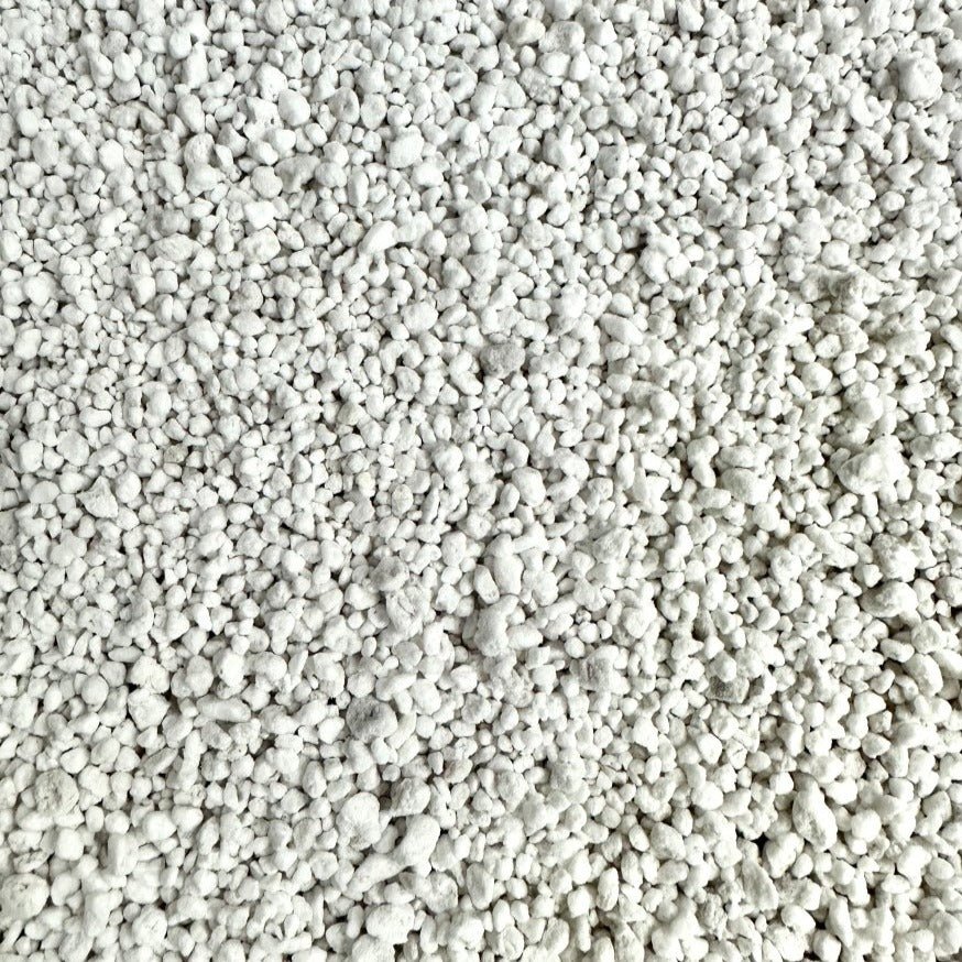 Perlite for Houseplants - Improve Soil Aeration and Drainage - Ed's Plant Shop