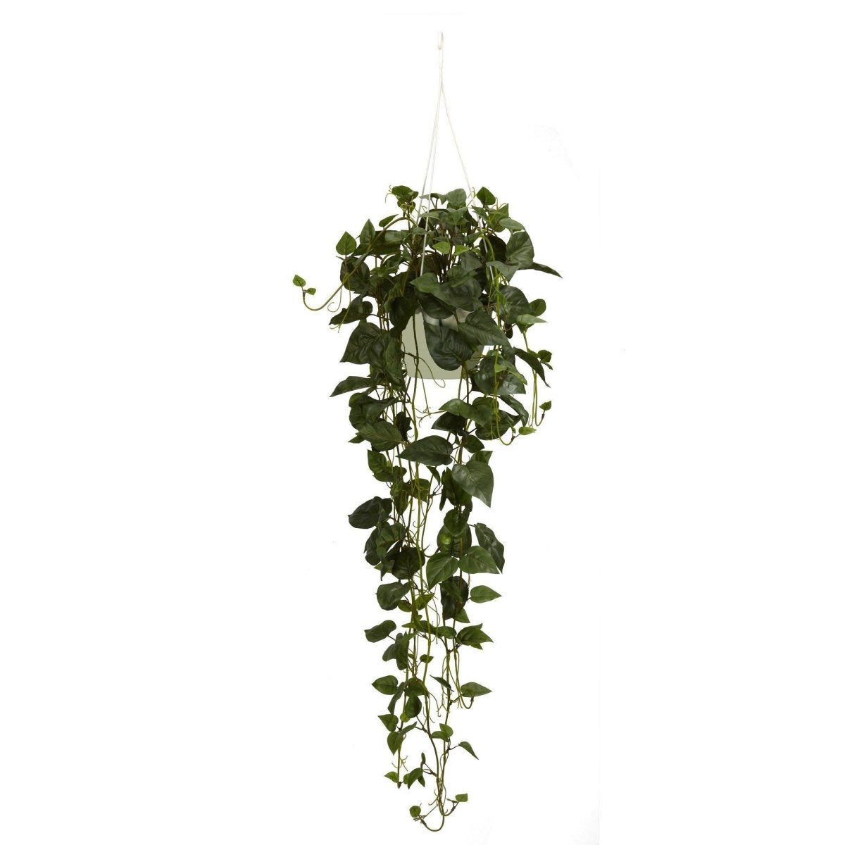 Philodendron Hanging Basket Silk Plant - Ed's Plant Shop