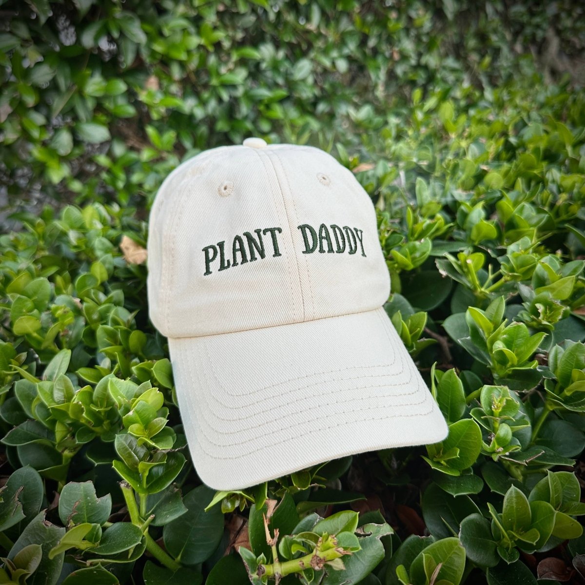 Plant Daddy Hat Cotton Color - Ed's Plant Shop