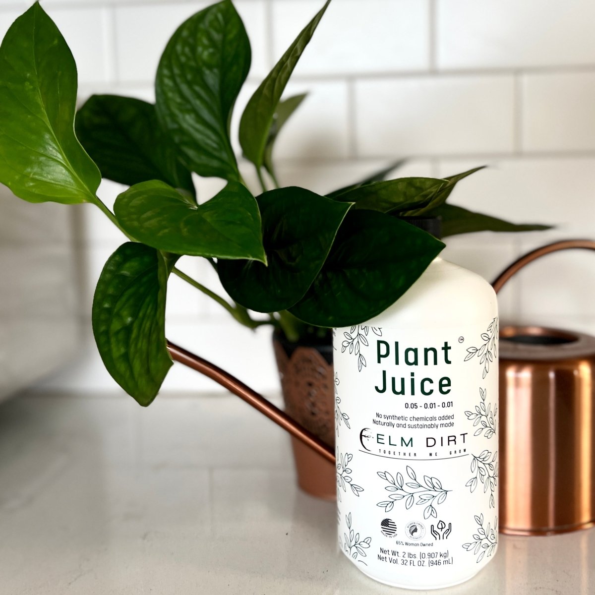 Plant Juice - Ed's Plant Shop