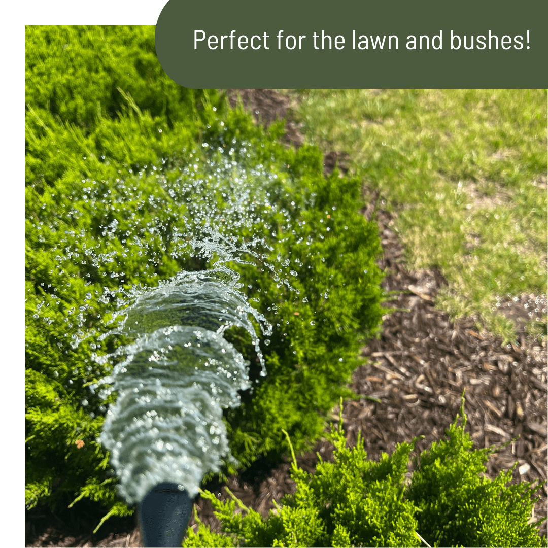 Plant Juice - Ed's Plant Shop