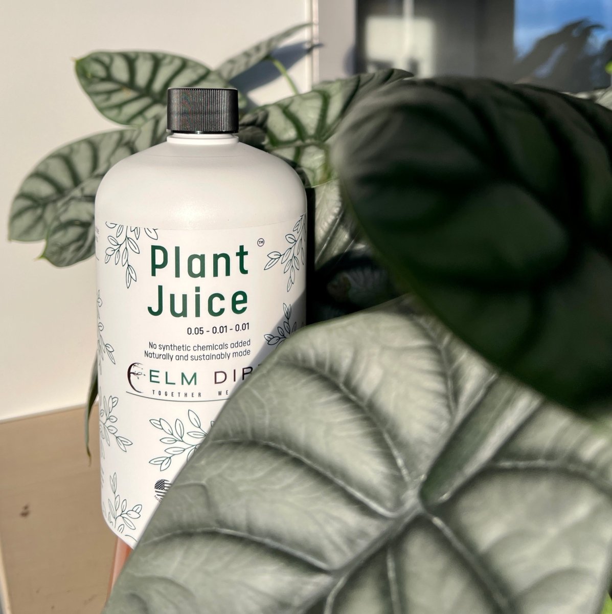 Plant Juice - Ed's Plant Shop