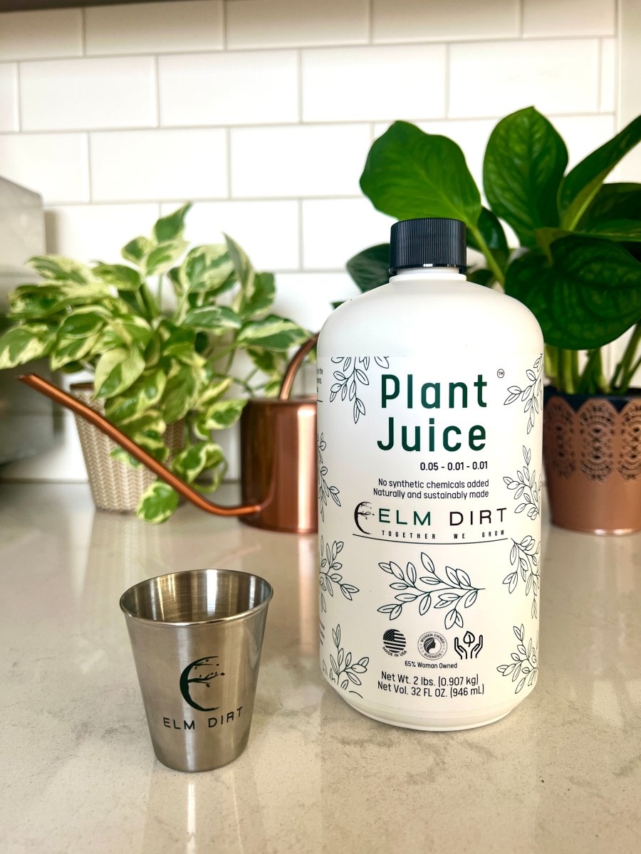 Plant Juice - Ed's Plant Shop