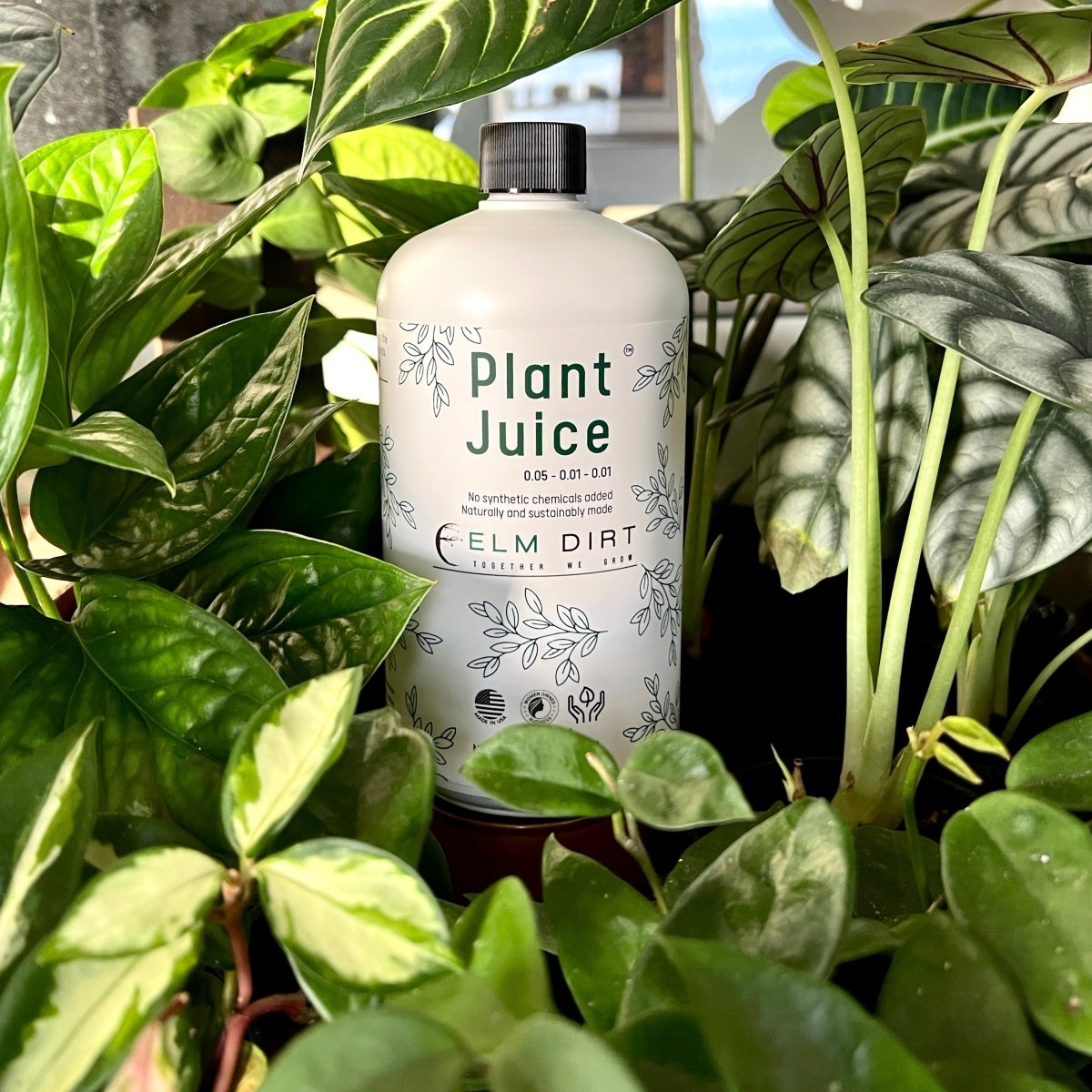 Plant Juice - Ed's Plant Shop