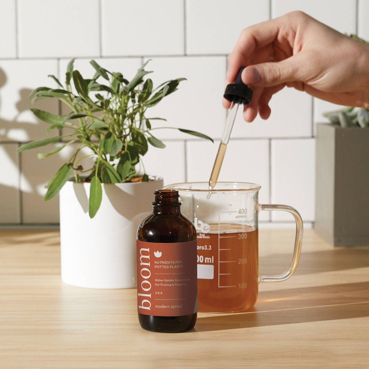 Plant Nutrients – Bloom Concentrate for Flowering & Fruiting (8 oz) - Ed's Plant Shop