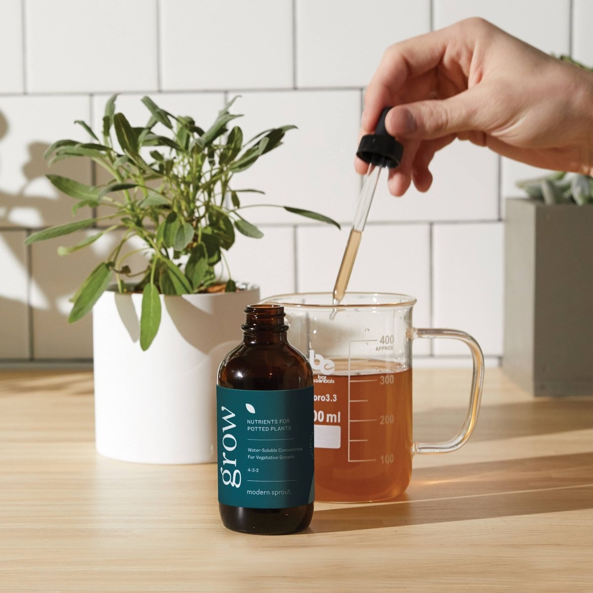 Plant Nutrients – Bloom Concentrate for Flowering & Fruiting (8 oz) - Ed's Plant Shop