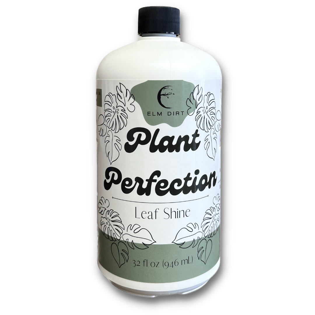 Plant Perfection - Leaf Shine For Houseplants - Ed's Plant Shop