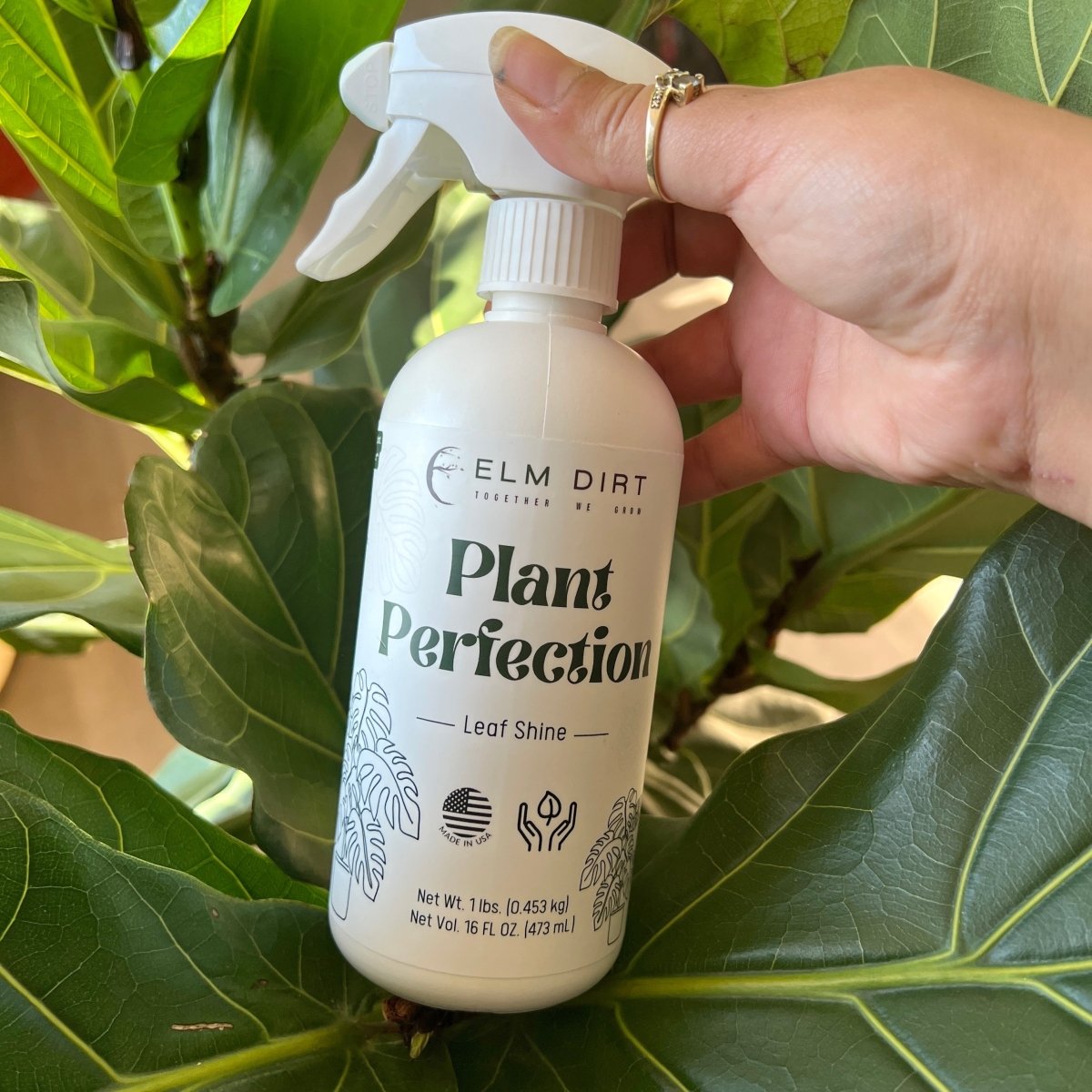 house plant leaf shine Plant Perfection All Natural Plant Shine