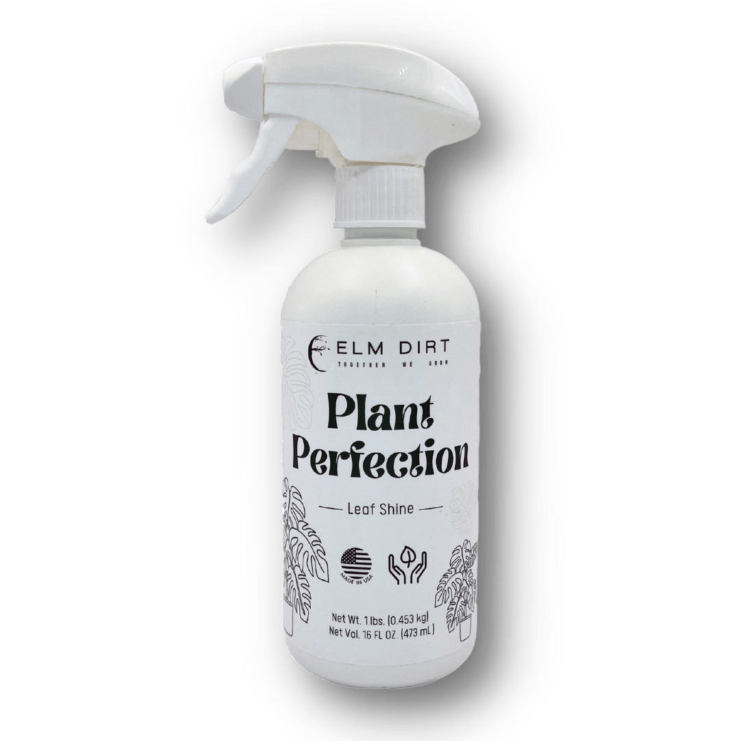 Plant Perfection - Leaf Shine For Houseplants - Ed's Plant Shop