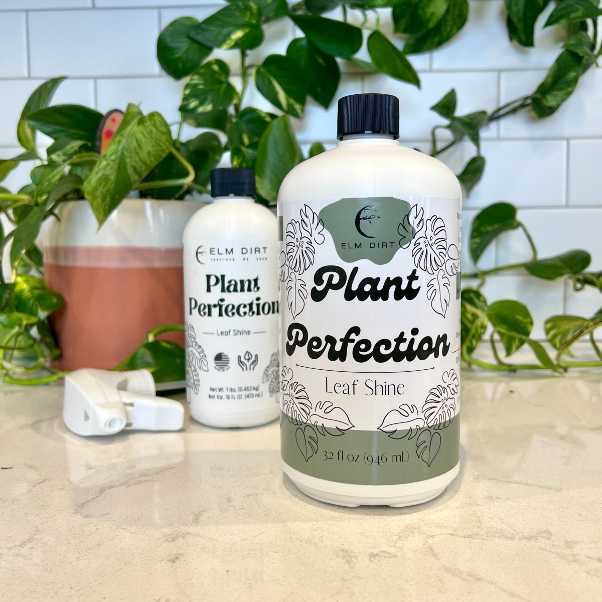 Plant Perfection - Leaf Shine For Houseplants - Ed's Plant Shop