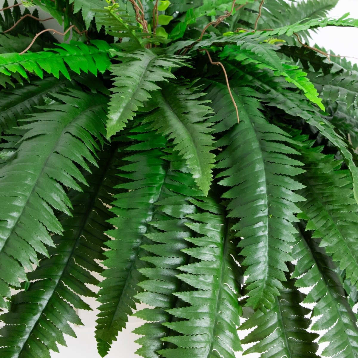Close-up of lifelike silk Boston fern pinnate leaflets showing natural texture