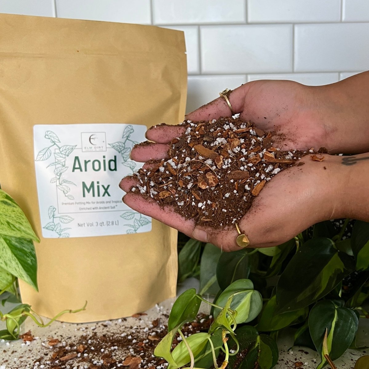 Premium Aroid Potting Mix – Nutrient-Rich Soil for Healthy Growth