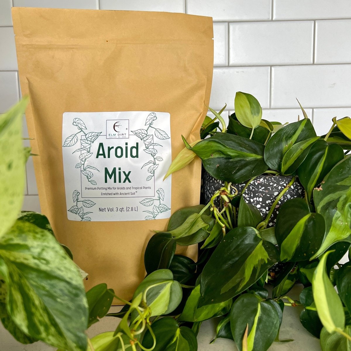 Premium Aroid Potting Mix – Nutrient-Rich Soil for Healthy Growth