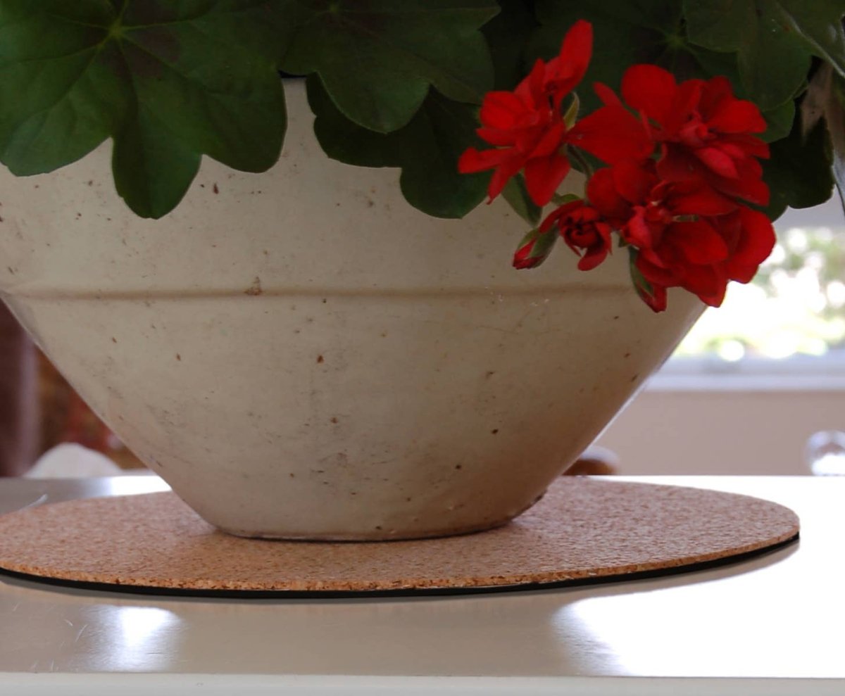 Premium Eco Cork Mat – 5 Sizes | USA - Made Renewable Cork - Ed's Plant Shop