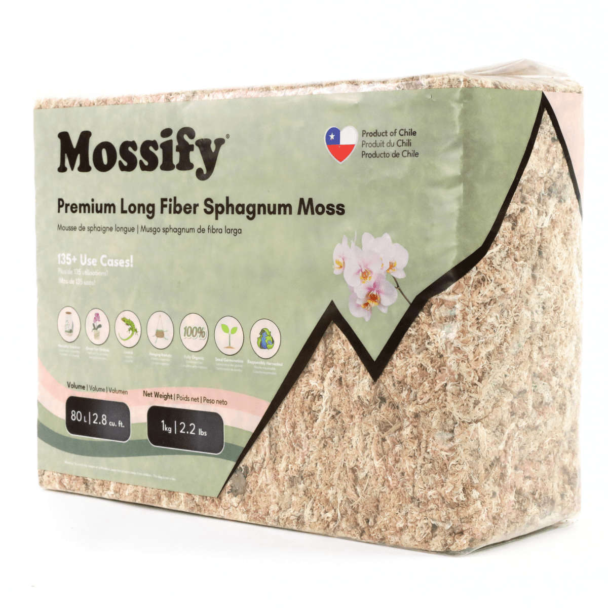Premium Long Fiber Sphagnum Moss – Orchid & Kokedama Substrate (150g) - Ed's Plant Shop
