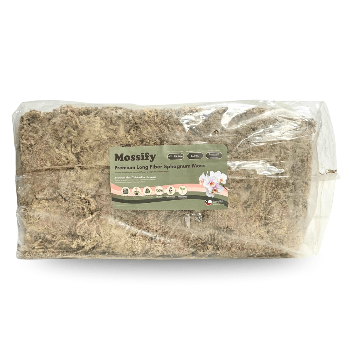 Premium Long Fiber Sphagnum Moss – Orchid & Kokedama Substrate (150g) - Ed's Plant Shop